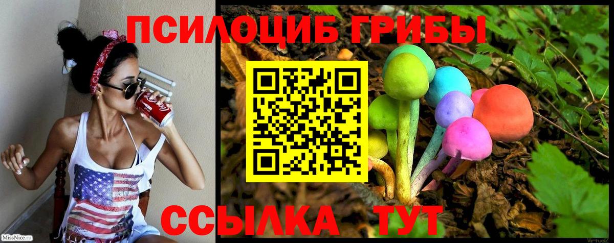 Псилоцибиновые грибы прущие грибы Котовск