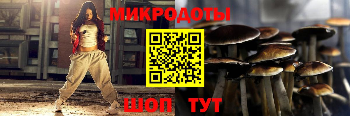 Котовск  Галлюциногенные грибы GOLDEN TEACHER  Вход с VPN 